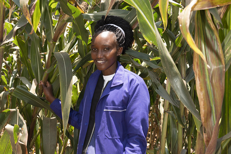 Cecilia 1 Web Cecilia 1 Web