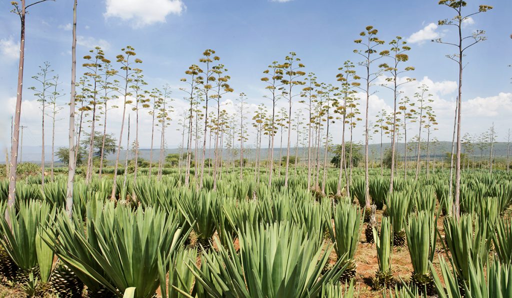 Haku YMCA Peacemakers -ilmastoryhmään on avoinna!