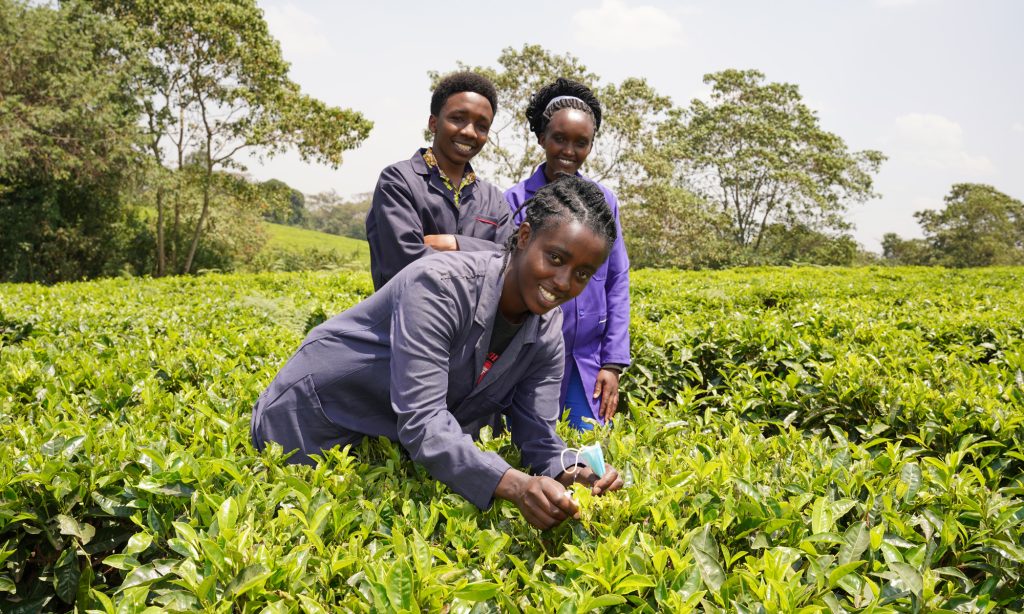 Suomen NMKY:n Liiton kehitysyhteistyöohjelma vahvistaa nuorten osaamista ja rauhaa – väliarviointi nostaa esiin rohkaisevia tuloksia